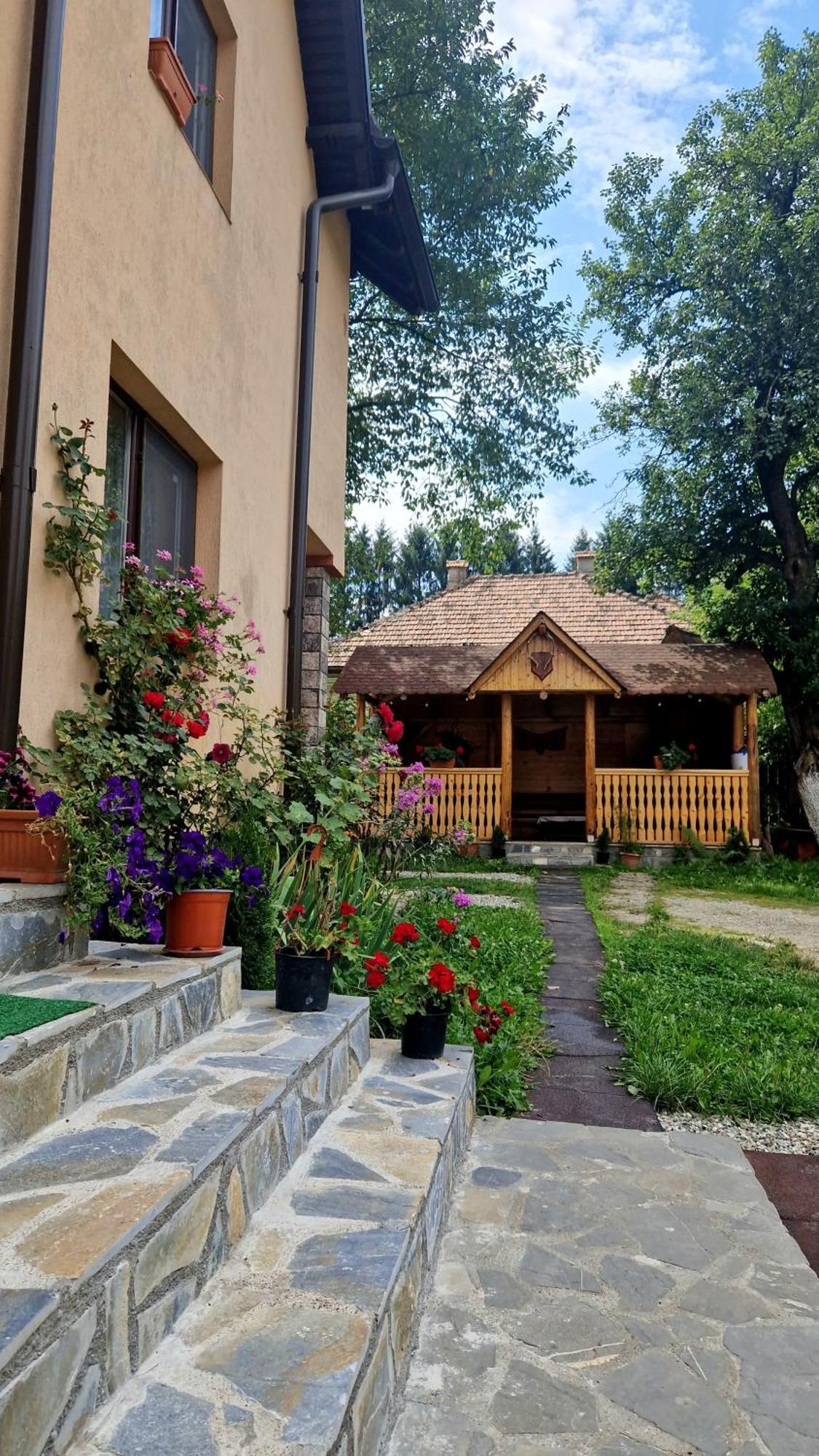 Casa Dorina Villa Bran  Exterior photo