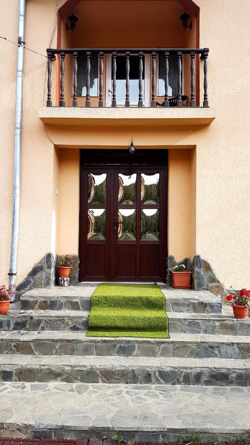 Casa Dorina Villa Bran  Exterior photo